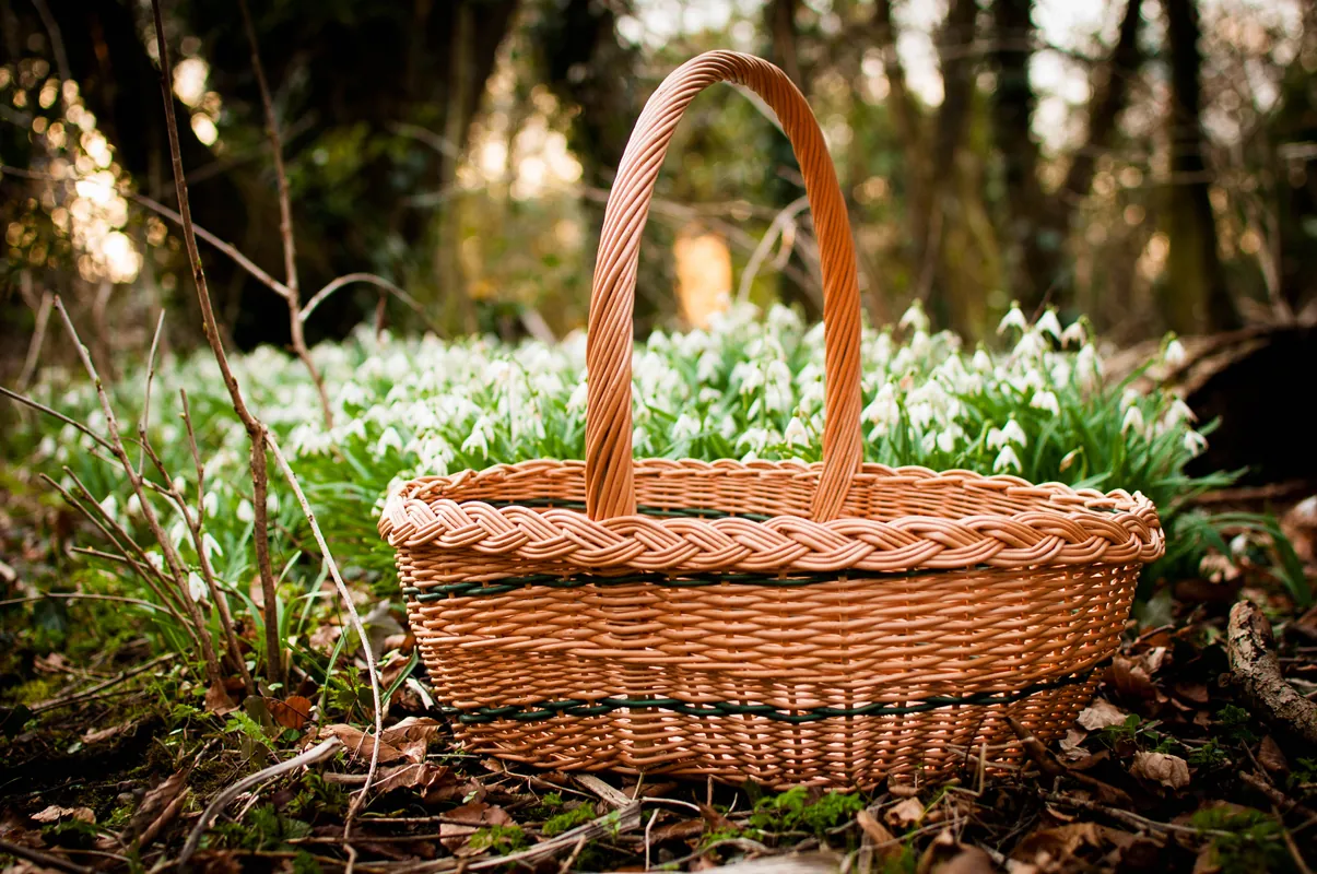 Basket making at TRIBe using natural materials