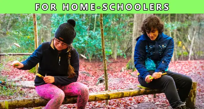 For-Home-Schools (webpE6Q60)
