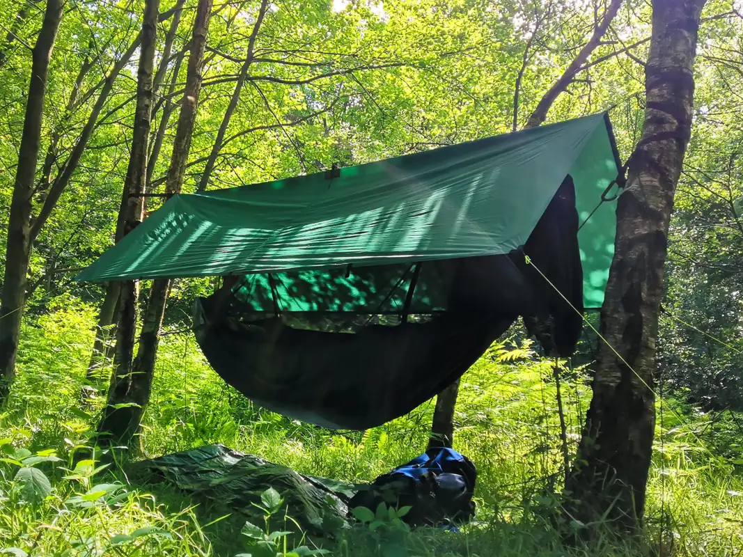 Hammock camping at TRIBE including tarp
