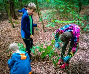 TRIBE Bushcraft adventure day session making traps using natural materials