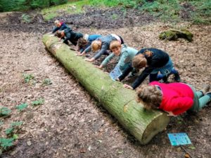 TRIBE Bushcraft child adventure day session bug hunt children trying to move a big log