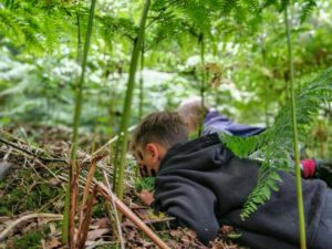 TRIBE Bushcraft child adventure day session camouflage and concealment 3