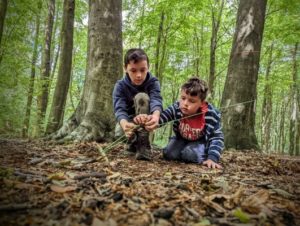 TRIBE Bushcraft child adventure day session children teaching each other how to tie knots