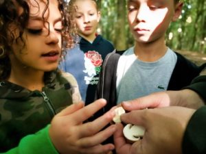 TRIBE Bushcraft child adventure day showing mushrooms to children