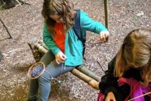 TRIBE Bushcraft child discovery day session making willow dream catchers