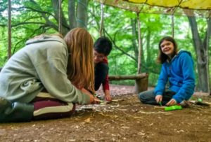 TRIBE Bushcraft home school education session children using knives to cut wood