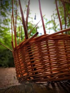 TRIBE Bushcraft making willow baskets 5