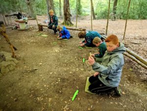 TRIBE Bushcraft scout group learning to carve a tent peg