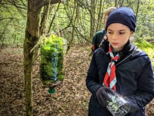 TRIBE Bushcraft scout group water filter being hung in a tree 1