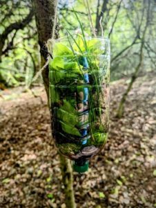 TRIBE Bushcraft scout group water filter being hung in a tree 2