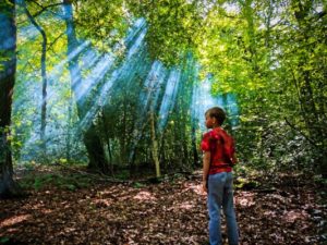 TRIBE Bushcraft session adventure day child looking into the woodland through the smoke