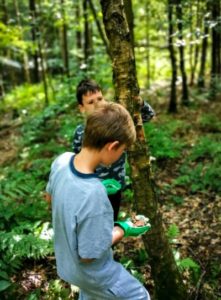 TRIBE Bushcraft session adventure day children gathering birch bark from birch trees 1