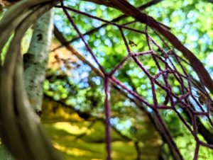 TRIBE Bushcraft session artistic shot of the main camp