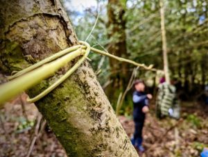 TRIBE Bushcraft session closeup of the clove hitch using natural materials to make a clothes line