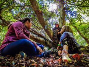 TRIBE Bushcraft session discovery day children setting up the water filter by hanging in a tree