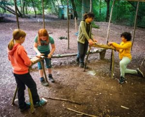 TRIBE Bushcraft session discovery day using saws to cut wood