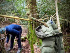 TRIBE Bushcraft session showing the clothes line being used