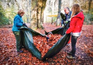TRIBE Bushcraft session social saturdays family bushcraft adults caring child and leaves