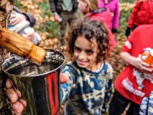 TRIBE Bushcraft session social saturdays family bushcraft child collecting the sap from a birch tree