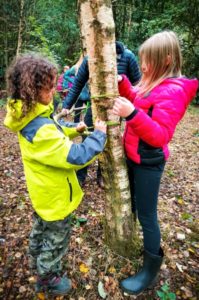 TRIBE Bushcraft session social saturdays family bushcraft tying the sticks to the tree 2