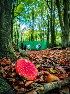 TRIBE Woodland archery ongoing session with fly agaric mushroom in the foreground