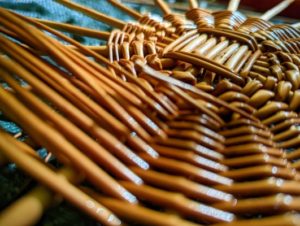 TRIBE Bushcraft making willow baskets