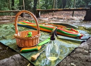 TRIBE Bushcraft making willow baskets