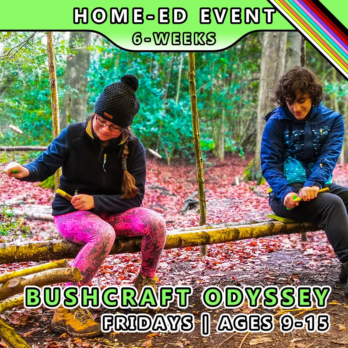 Bushcraft odyssey course for home-ed children at TRIBE with honours