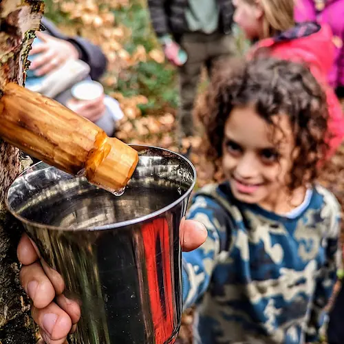 TRIBE Bushcraft Social Saturday photo 16