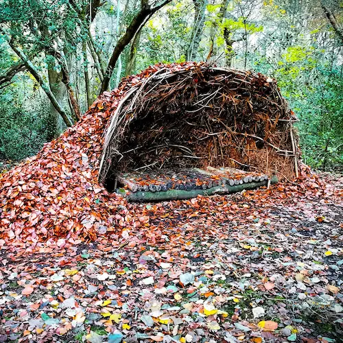 TRIBE Bushcraft Social Saturday photo 33