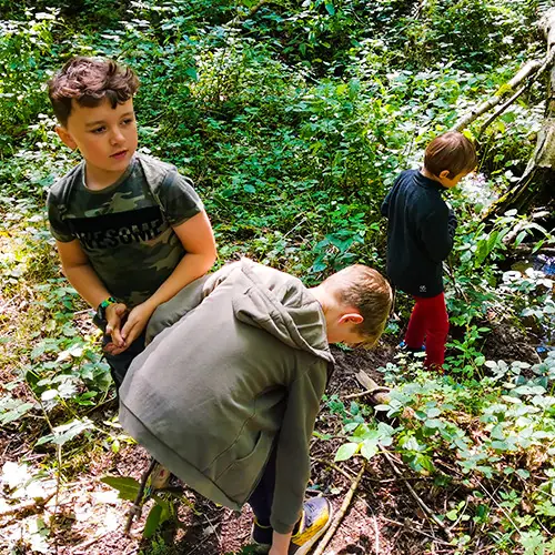 TRIBE Bushcraft adventure days ages 8,9,10,11 wilderness skills fun nature 06