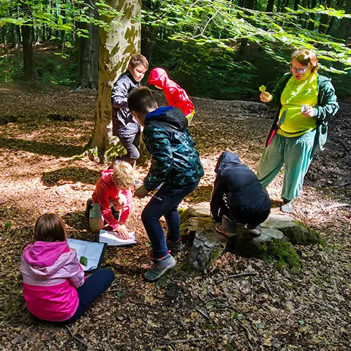 TRIBE Bushcraft adventure days ages 8,9,10,11 wilderness skills fun nature 08