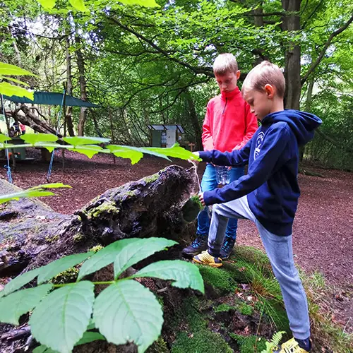 TRIBE Bushcraft adventure days ages 8,9,10,11 wilderness skills fun nature 11