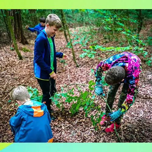 TRIBE Bushcraft adventure days ages 8,9,10,11 wilderness skills fun nature 19