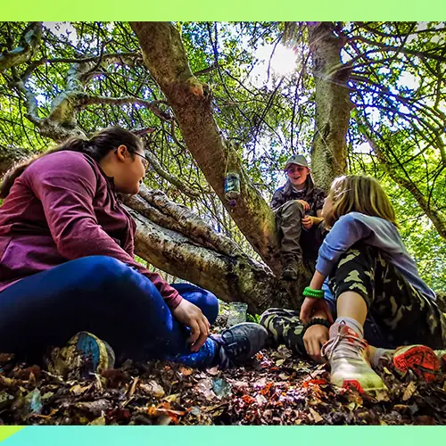 TRIBE Bushcraft discovery days ages 12,13,14,15,16 wilderness skills fun nature 17