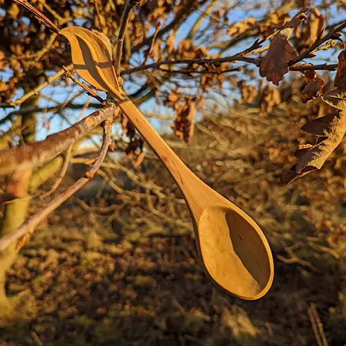 TRIBE spoon carving masterclass bushcraft 07