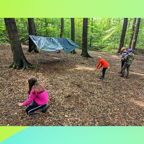 TRIBE shelter building