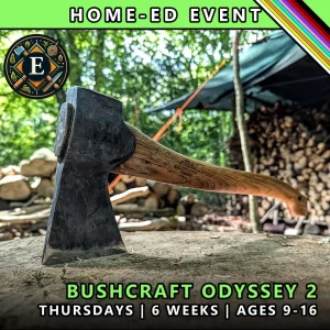 Bushcraft odyssey Thursday course for home-ed children at TRIBE Course E with honours