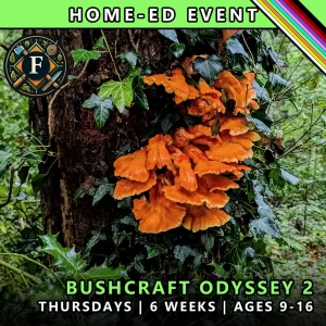 Bushcraft odyssey Thursday course for home-ed children at TRIBE Course F with honours