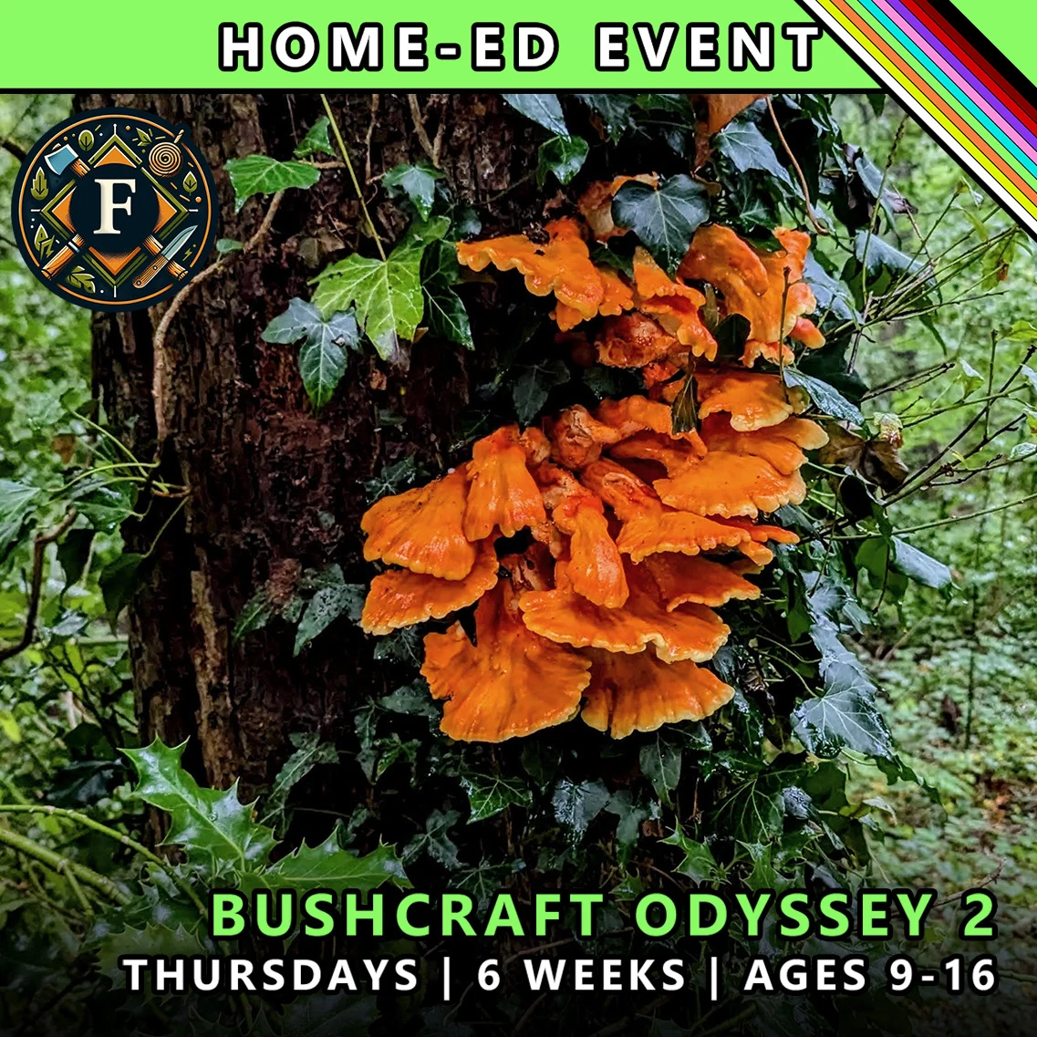 Bushcraft odyssey Thursday course for home-ed children at TRIBE Course F with honours