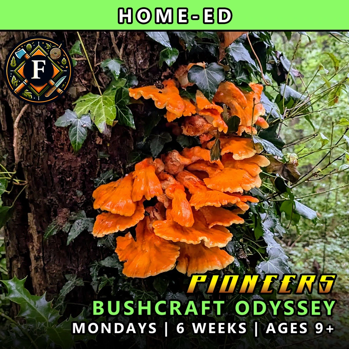 Bushcraft odyssey Mondays Pioneers course for home-ed children at TRIBE Course F with honours