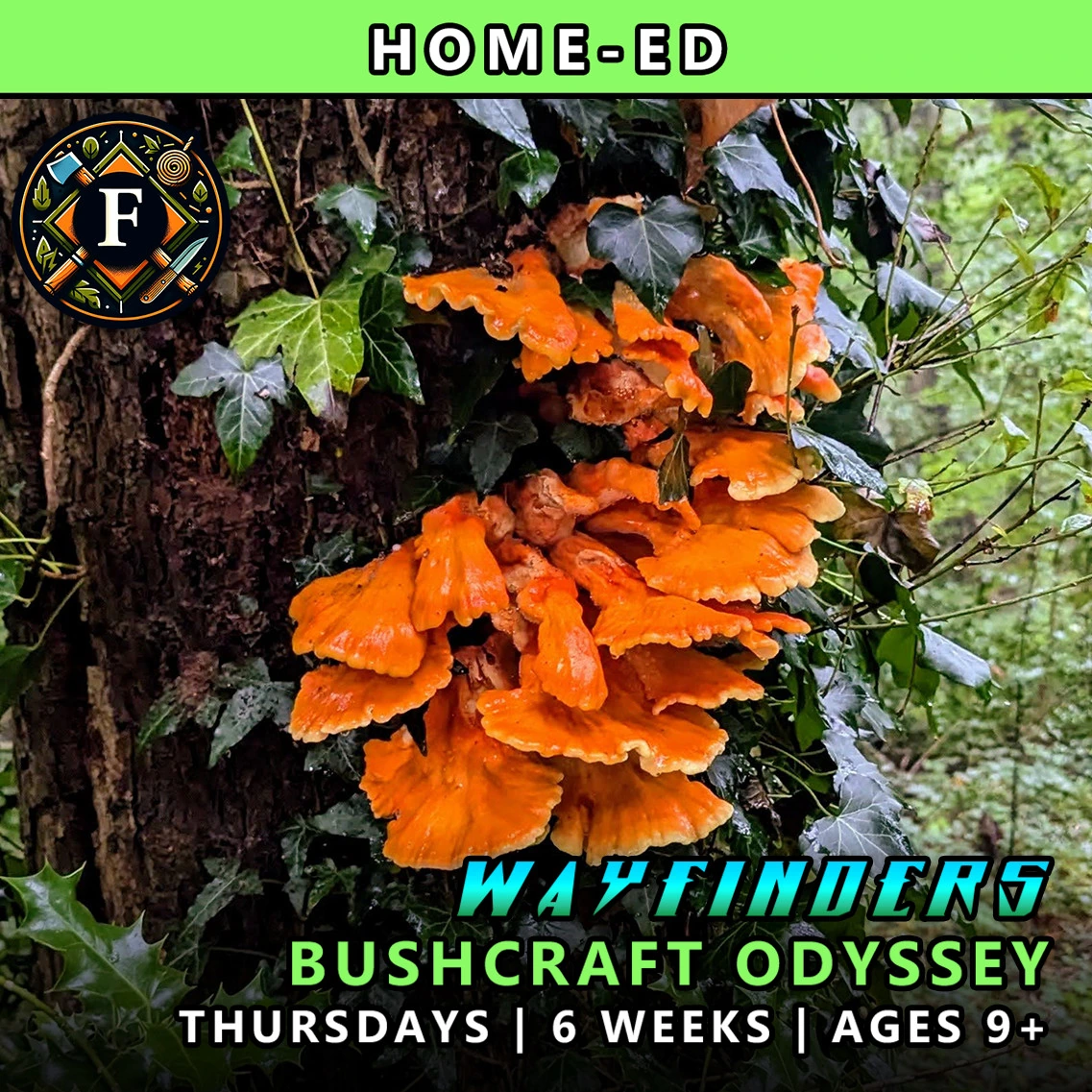 Bushcraft odyssey Thursday Wayfinders course for home-ed children at TRIBE Course F with honours